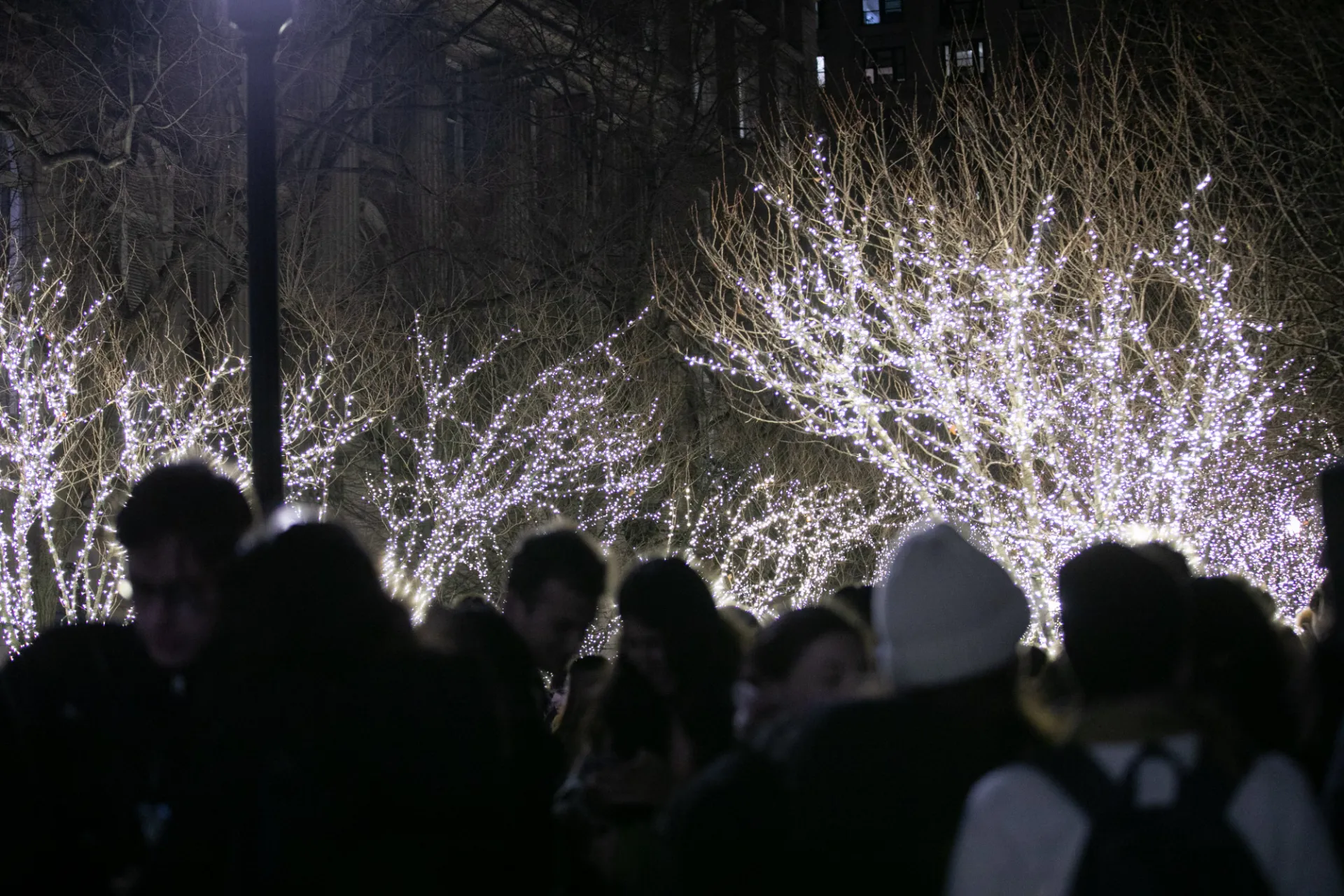 Lights illuminated along College Walk with people celebrating in the forefront.
